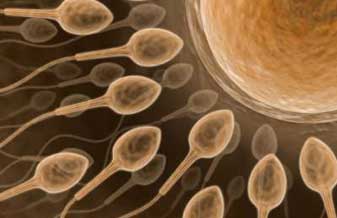 Clínica Fértilis - Foto 1