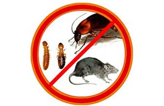 Controle De Pragas Control System - Foto 1