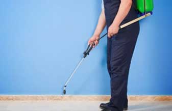 Deodrek Desentupidora E Dedetizadora - Foto 1