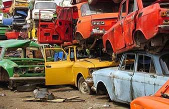 Ferro Velho Dinossauro - Foto 1