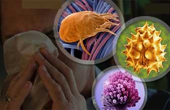 Alexandra Muniz João - Foto 1