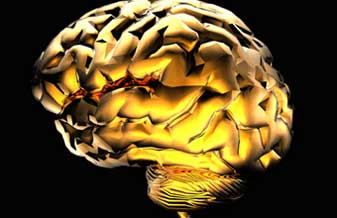 Anderson De Albuquerque Seixas - Foto 1