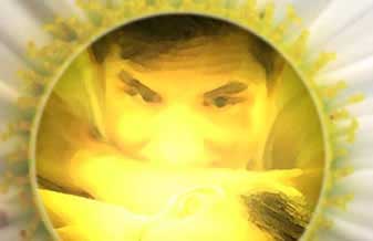 Seicho No Ie Do Brasil - Foto 1