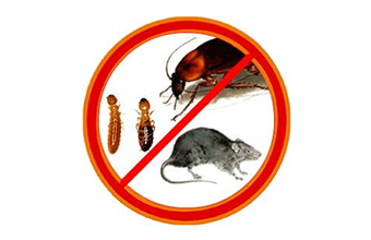 Vanderlei A Ferreira - Foto 1