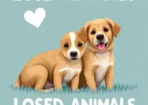 Câmara Municipal de Sorocaba