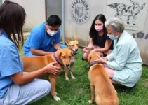 Câmara Municipal de Sorocaba