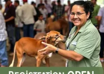 Câmara Municipal de Sorocaba