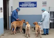 Câmara Municipal de Sorocaba