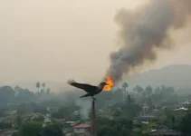 mau cheiro zona leste Sorocaba