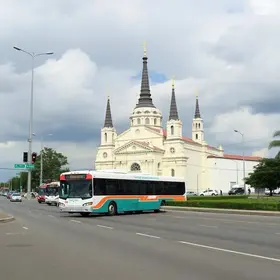 Romaria de Aparecidinha