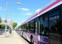 Ônibus Sensorial e Linha Rosa
