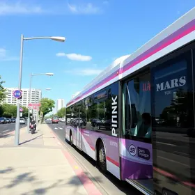 Ônibus Sensorial e Linha Rosa