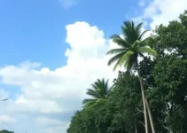 previsão do tempo em Sorocaba