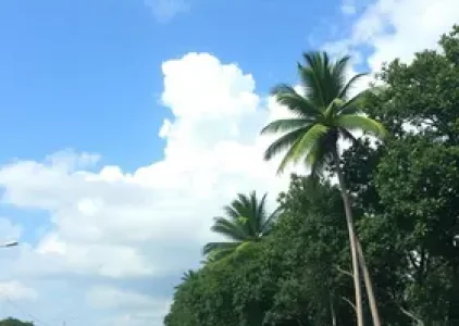 Últimas noticias de Sorocaba