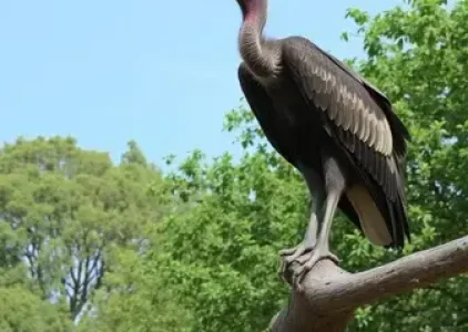 Últimas noticias de Sorocaba